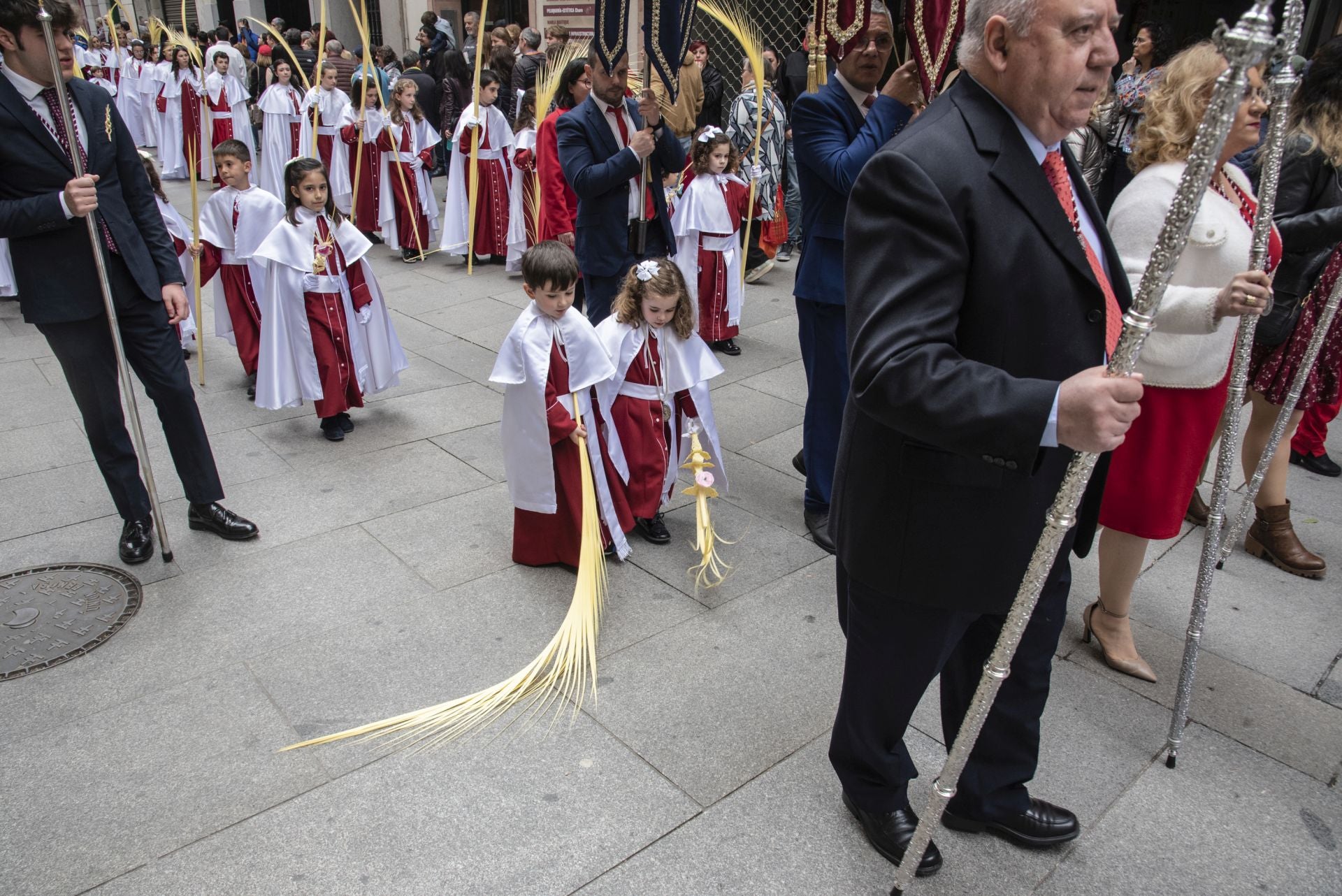 La procesión del Domingo de Ramos, en imágenes