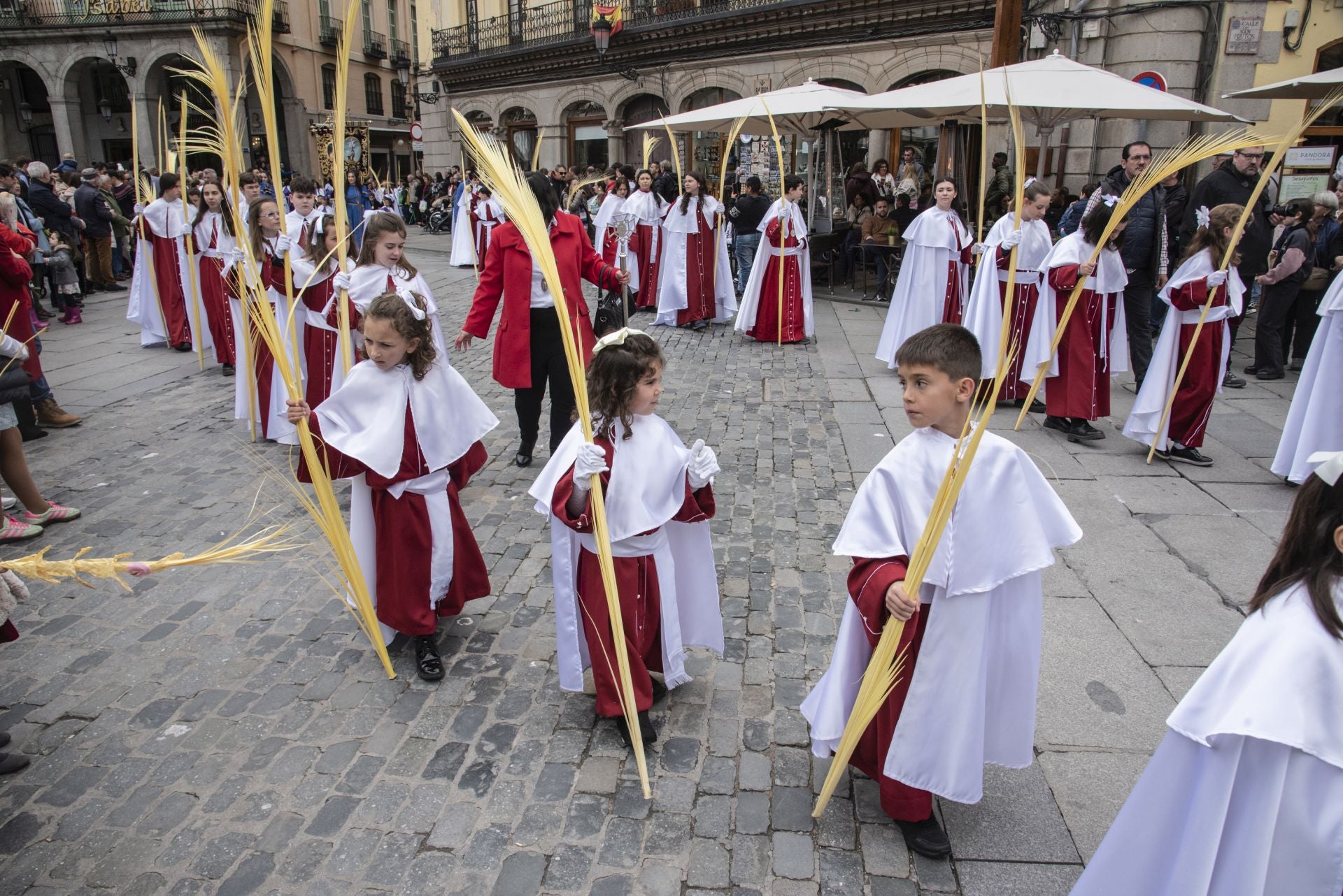 La procesión del Domingo de Ramos, en imágenes