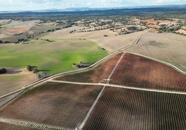 Se amplía el plazo de solicitud de la PAC hasta el 15 de mayo