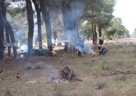 Hogueras en el pinar durante la celebración de Las Chuletas.