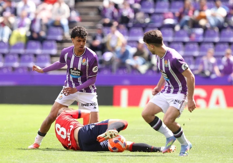 Aznou y Raúl Moro tratan de hacerse la pelota con Pablo Ibáñez en el suelo durante el Real Valladolid-Osasuna de este domingo.