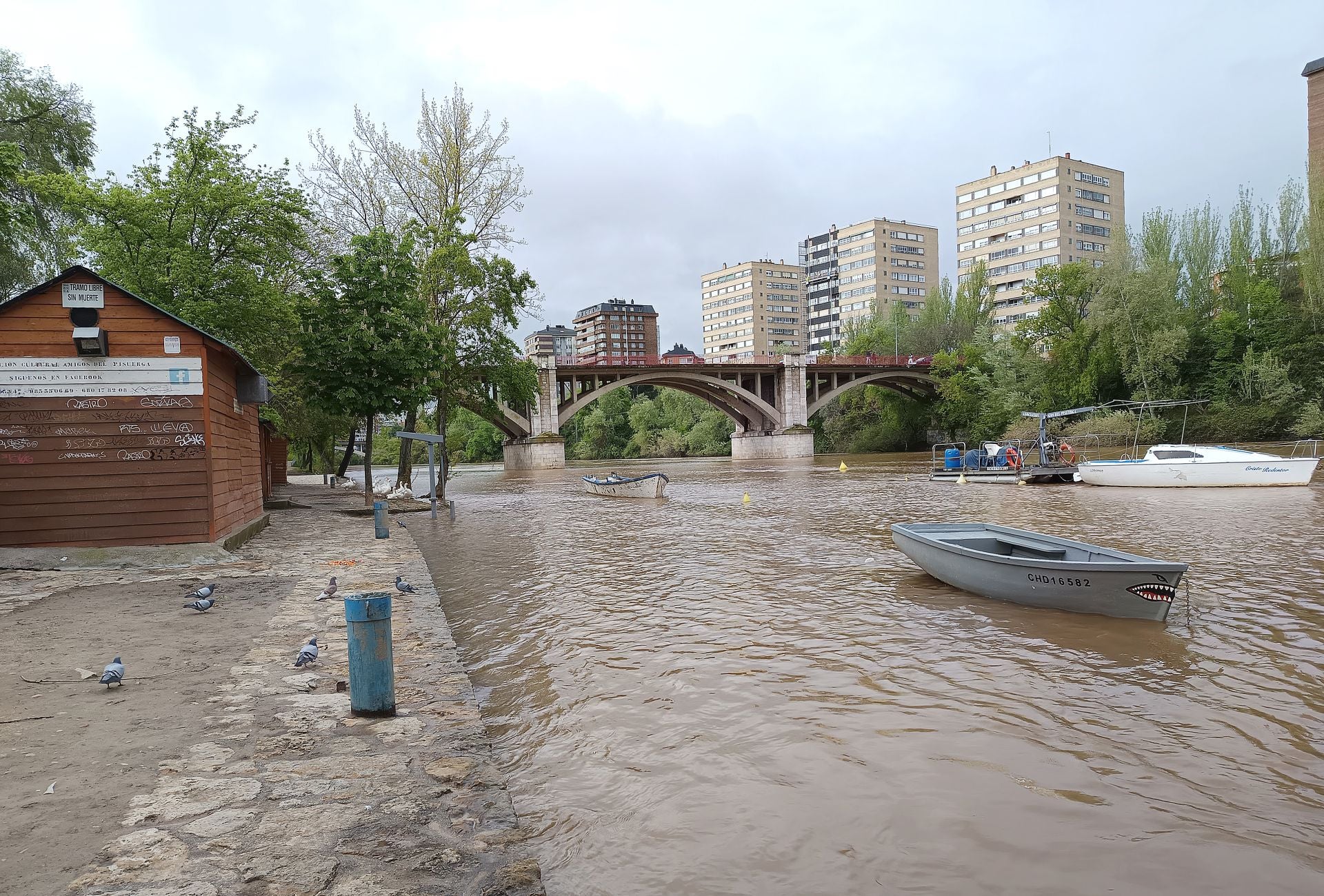 Las imágenes de la crecida del Pisuerga a su paso por Valladolid