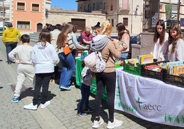 Mercadillo solidario de Baltanás, este miércoles.