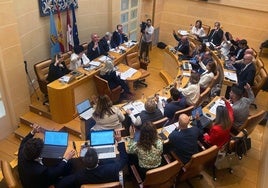 Pleno del Ayuntamiento de Segovia celebrado este viernes.