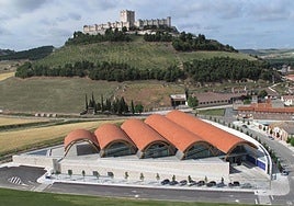 Vista aérea de Bodegas Protos.