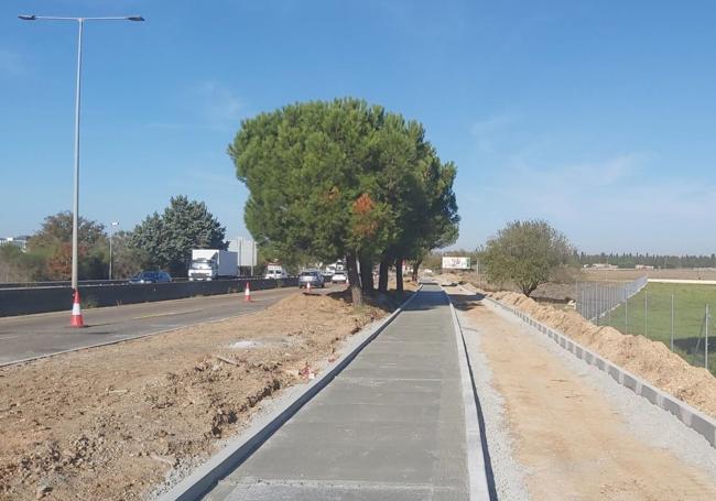 Obras de acera y carril bici en la VA-20.