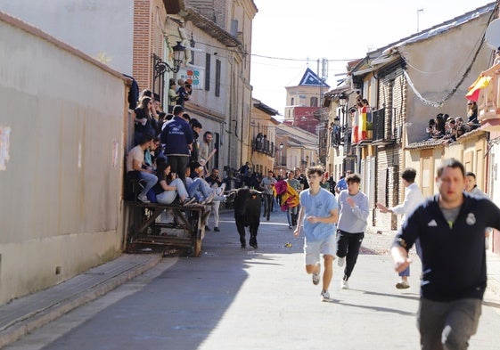 Varios aficionados corren delante de un novillo en la calle Derecha