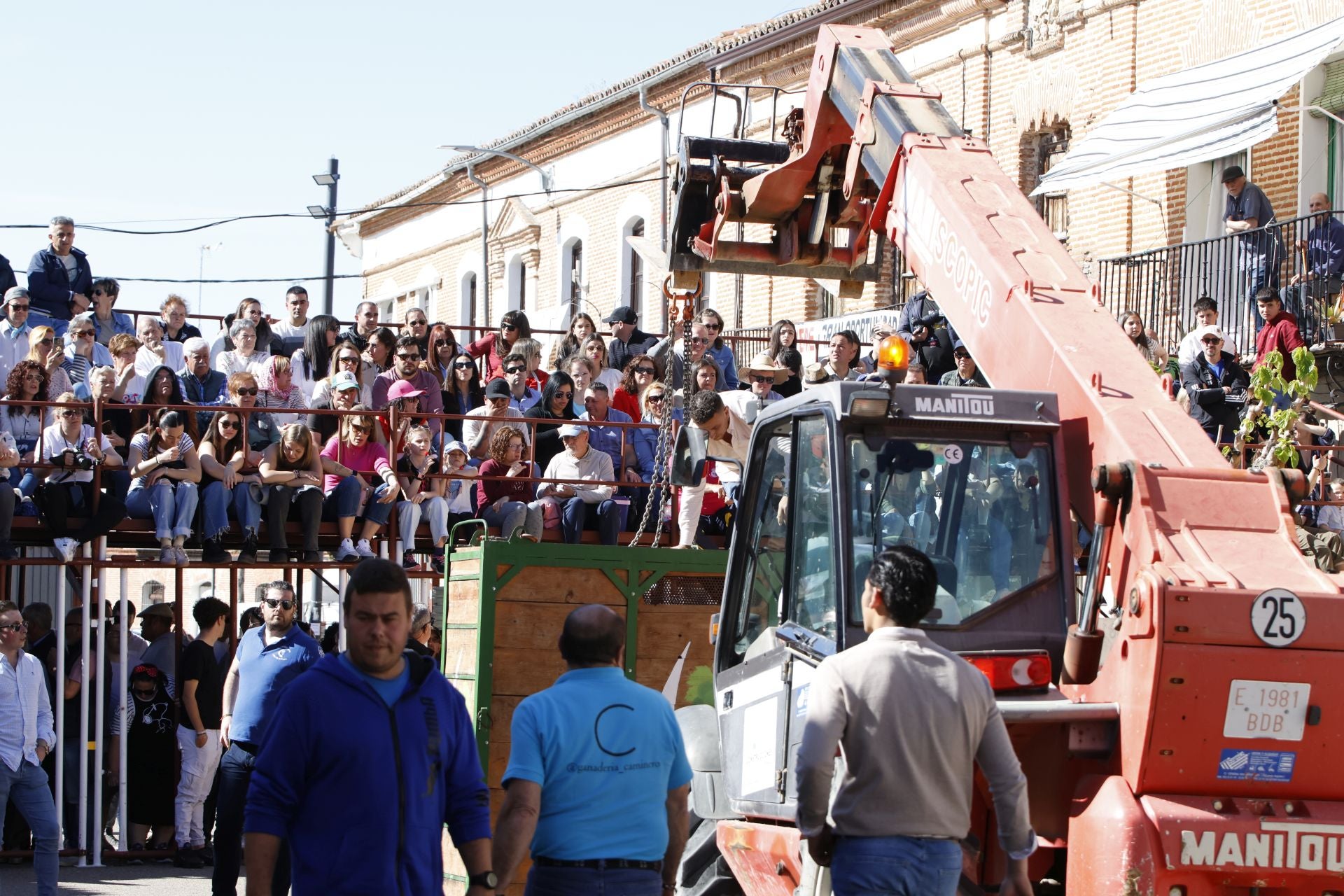 Las imágenes del Toro del Sarmiento de La Seca