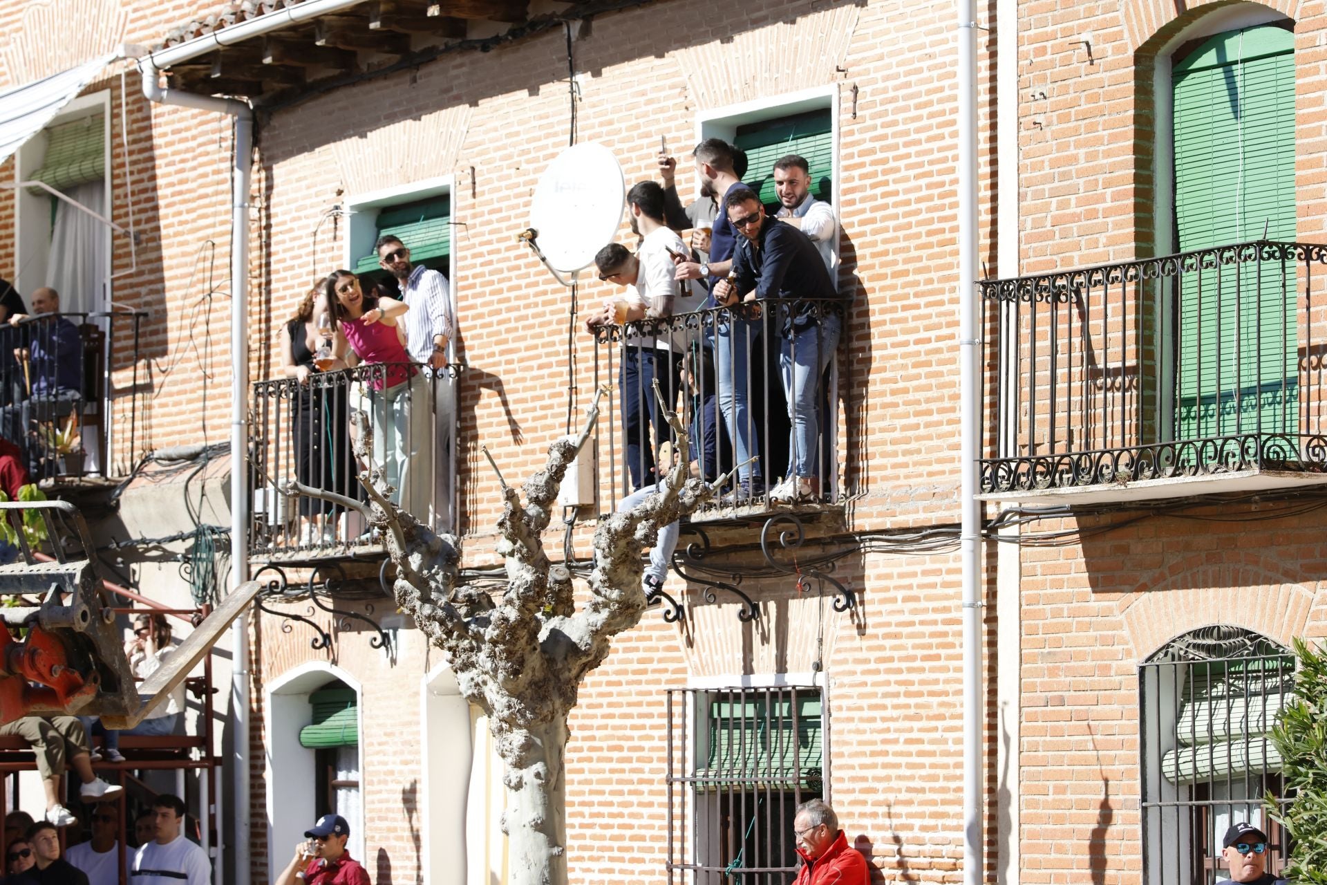 Las imágenes del Toro del Sarmiento de La Seca