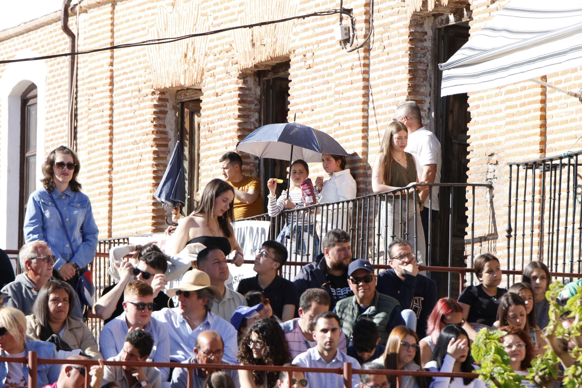 Las imágenes del Toro del Sarmiento de La Seca