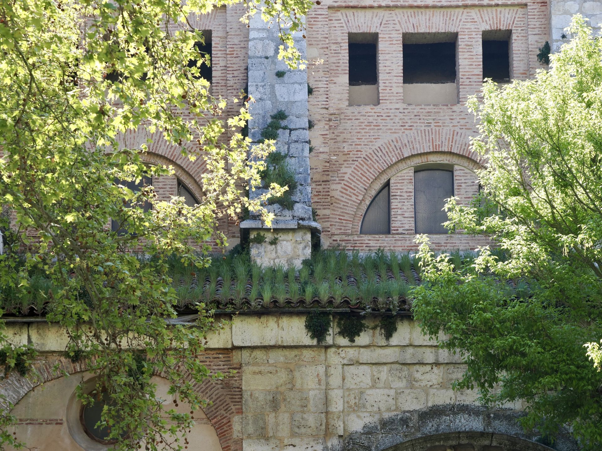 Estado de la cubierta y del entorno del Monasterio de las Huelgas