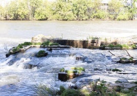 Ruta arqueológica por el Pisuerga a su paso por Valladolid