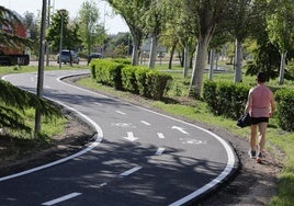 Nuevo carril bici junto a la avenida de Soria.