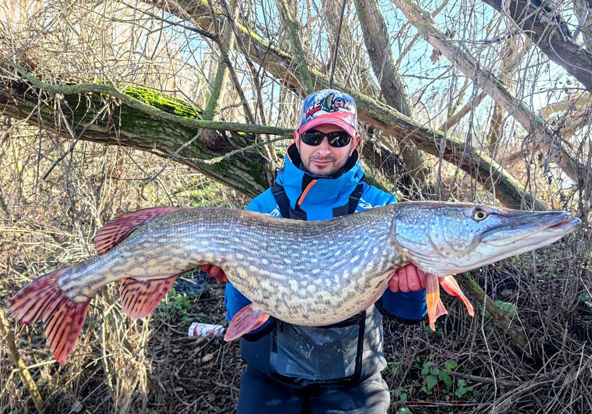 El vallisoletano que pescó un lucio de casi 14 kilos: «En algunas zonas habría que dejarlos vivir»