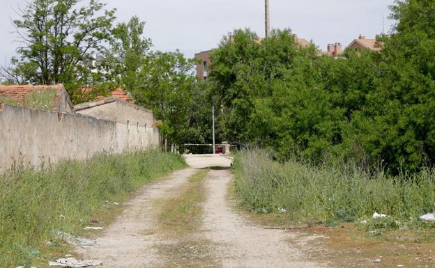 Zona donde un mastín ha atacado a un transeúnte y a un perro.