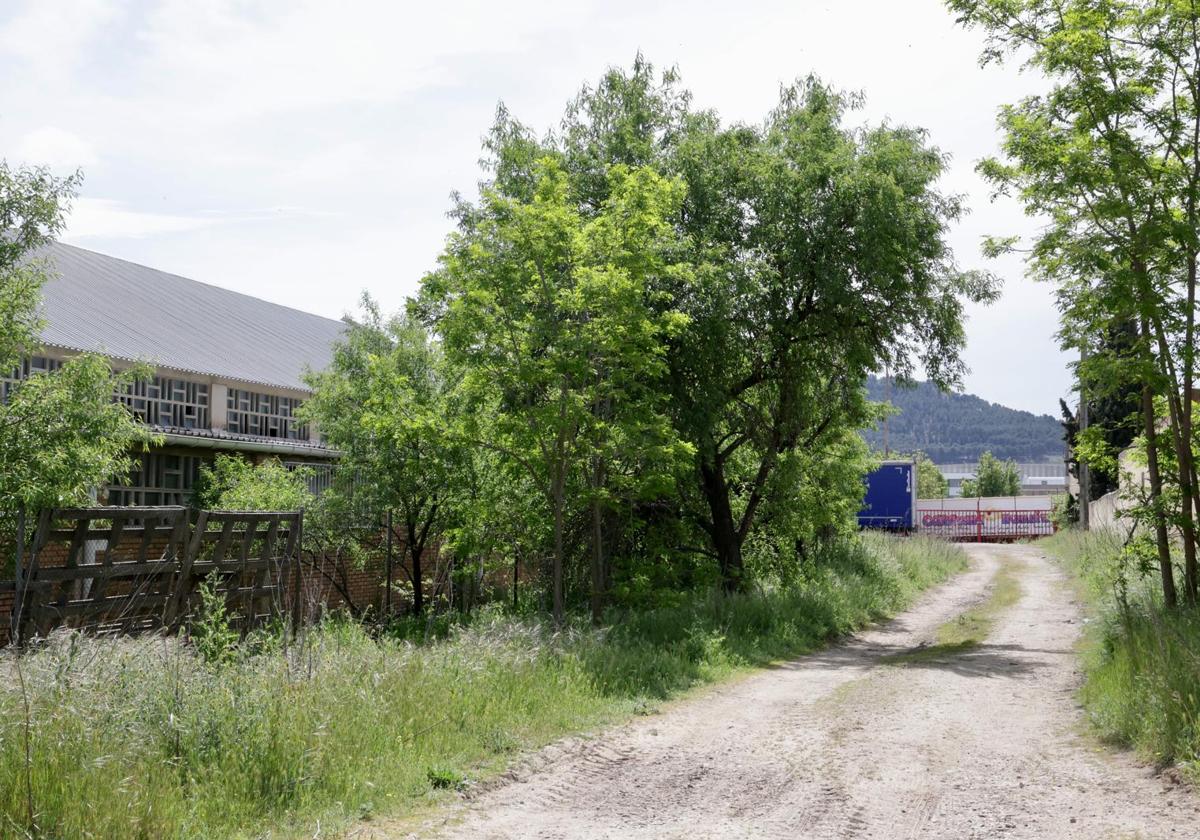 Un mastín se escapa de una finca ocupada y ataca a otro perro y a un transeúnte
