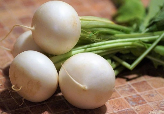 Nabo blanco