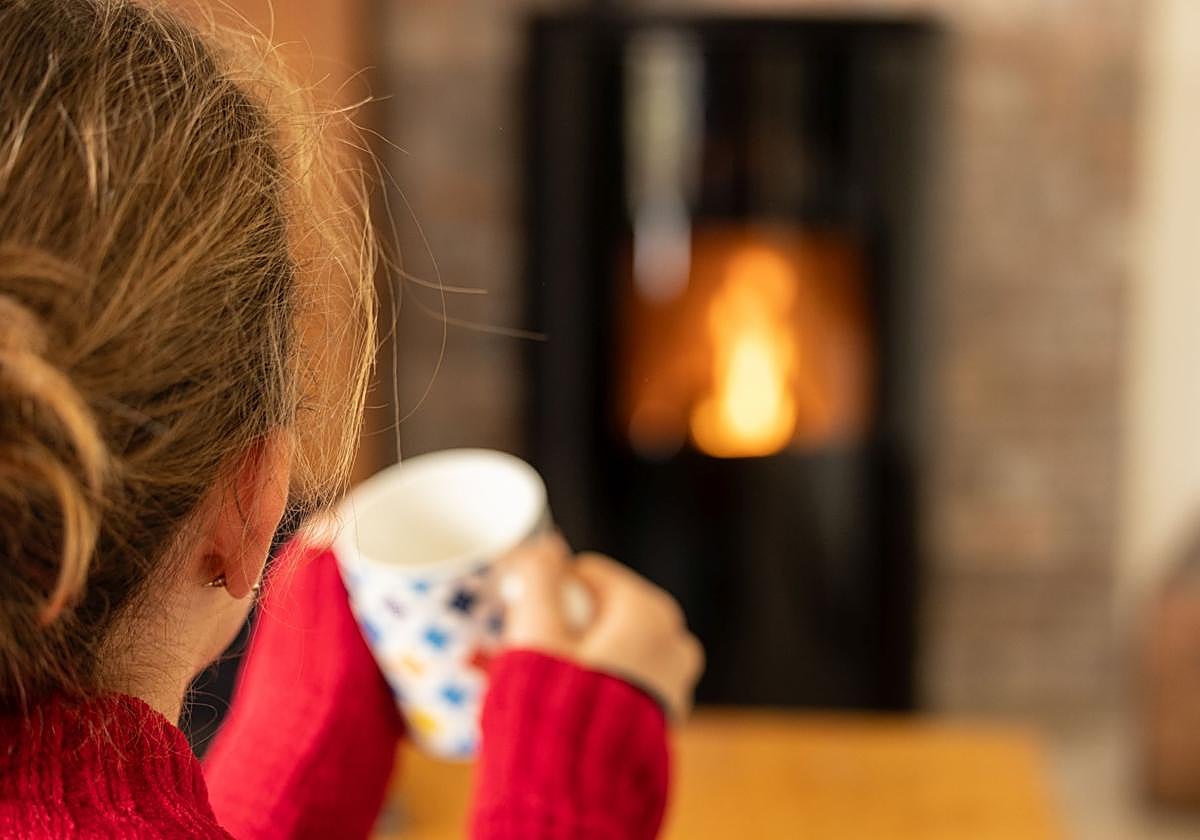 La biomasa, energía renovable para la industria y los hogares