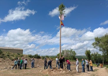 El ritual de izar el mayo sigue vivo en los pueblos de la provincia