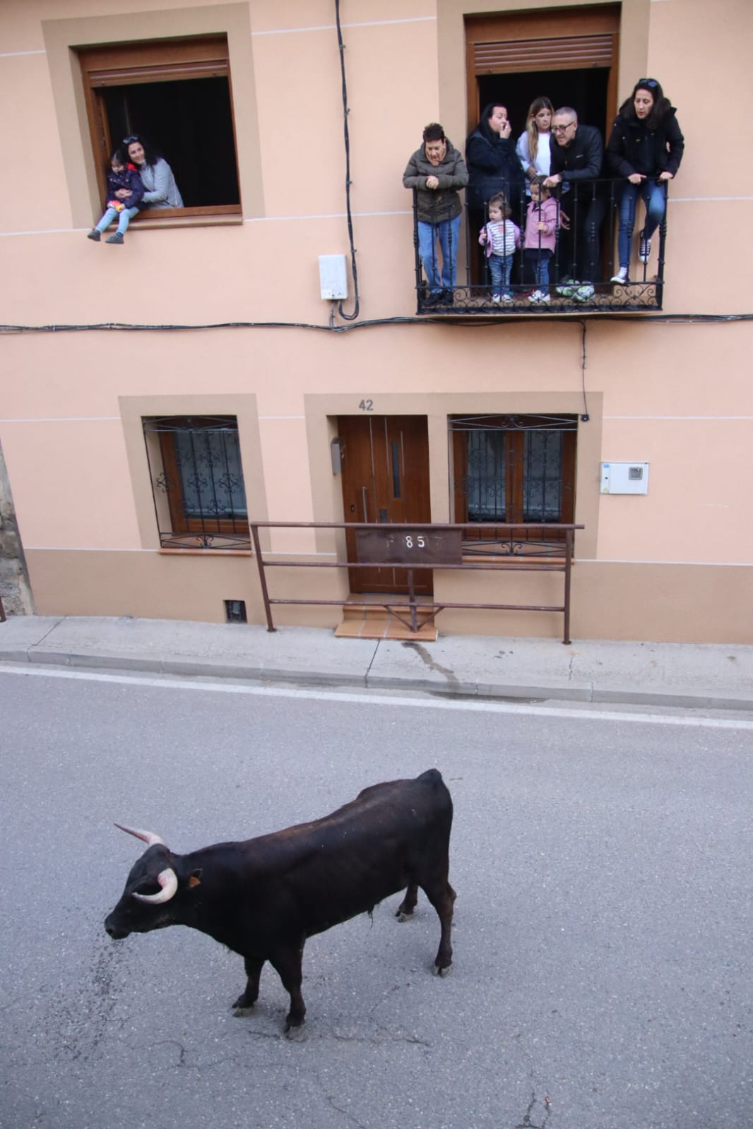 Emoción en Villabrágima con el VII Toro de la Santa Cruz