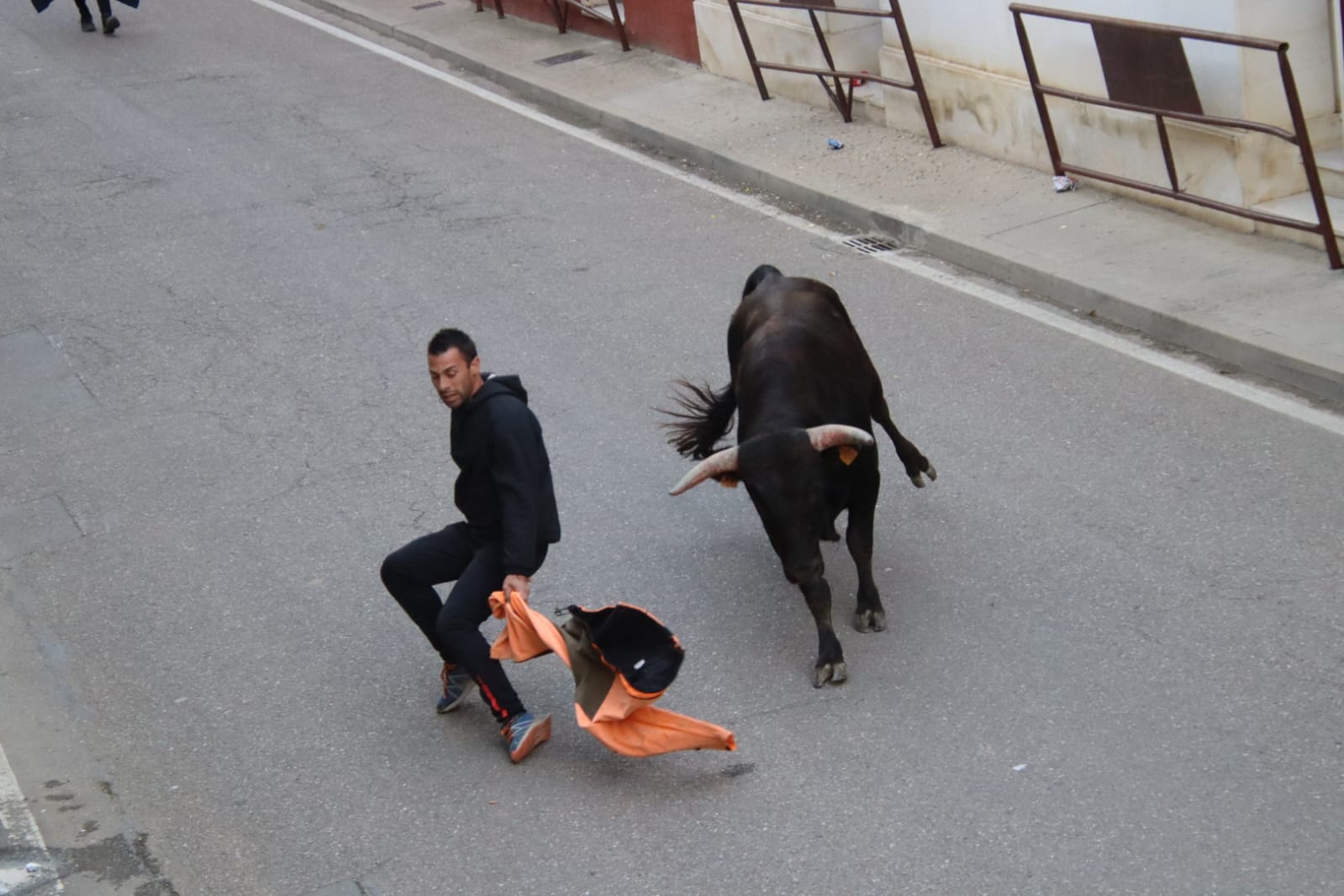 Emoción en Villabrágima con el VII Toro de la Santa Cruz