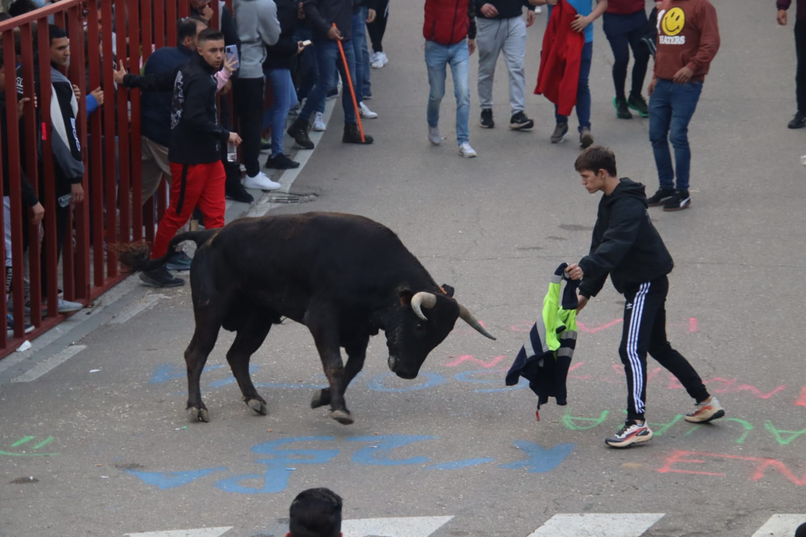 Emoción en Villabrágima con el VII Toro de la Santa Cruz