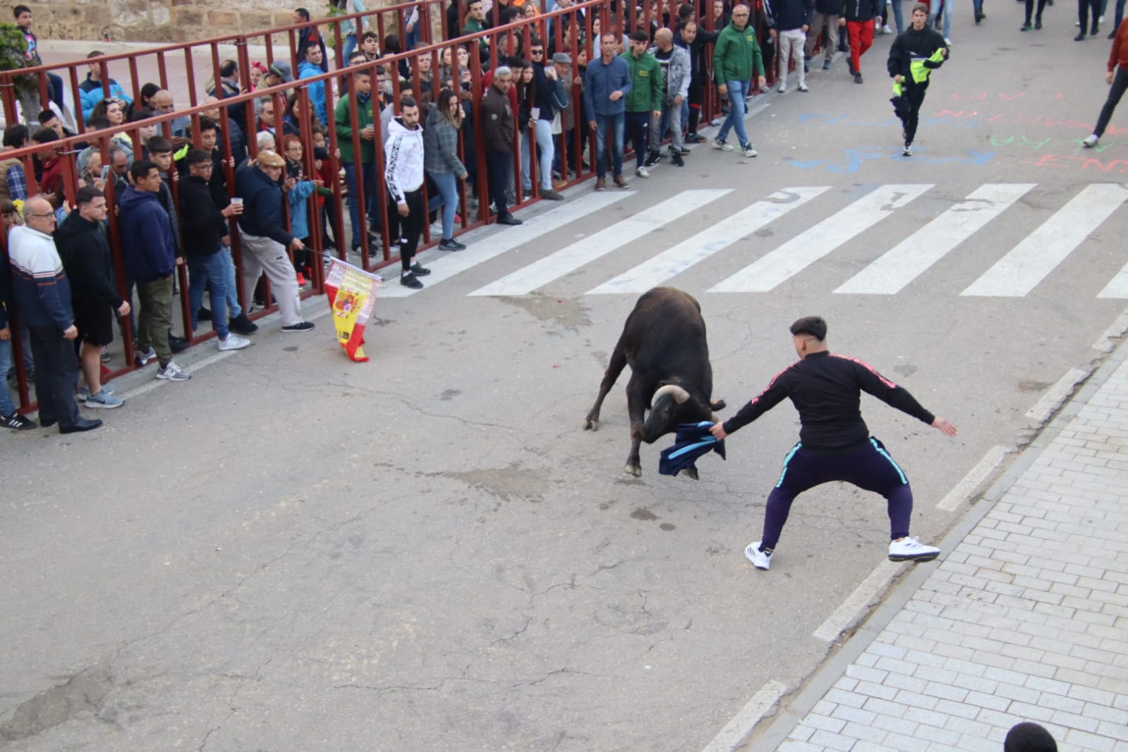 Emoción en Villabrágima con el VII Toro de la Santa Cruz