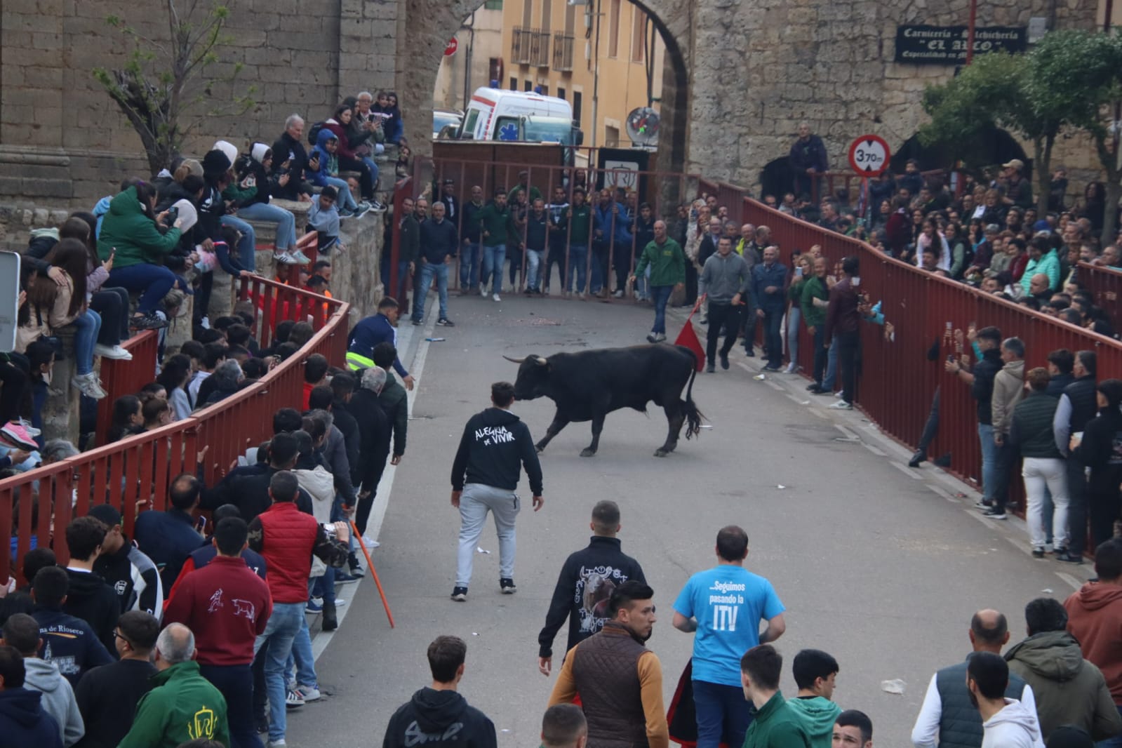 Emoción en Villabrágima con el VII Toro de la Santa Cruz