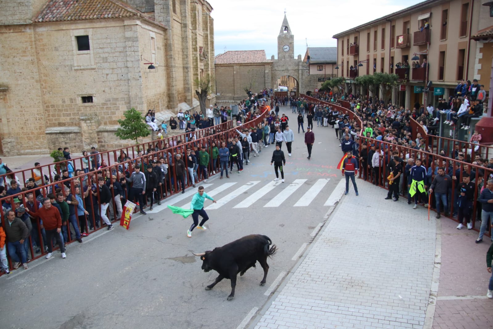 Emoción en Villabrágima con el VII Toro de la Santa Cruz