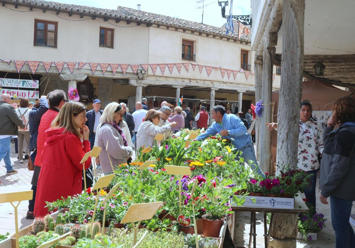 Venta de plantas en el Mercado de la Flor de Ampudia, este sábado.