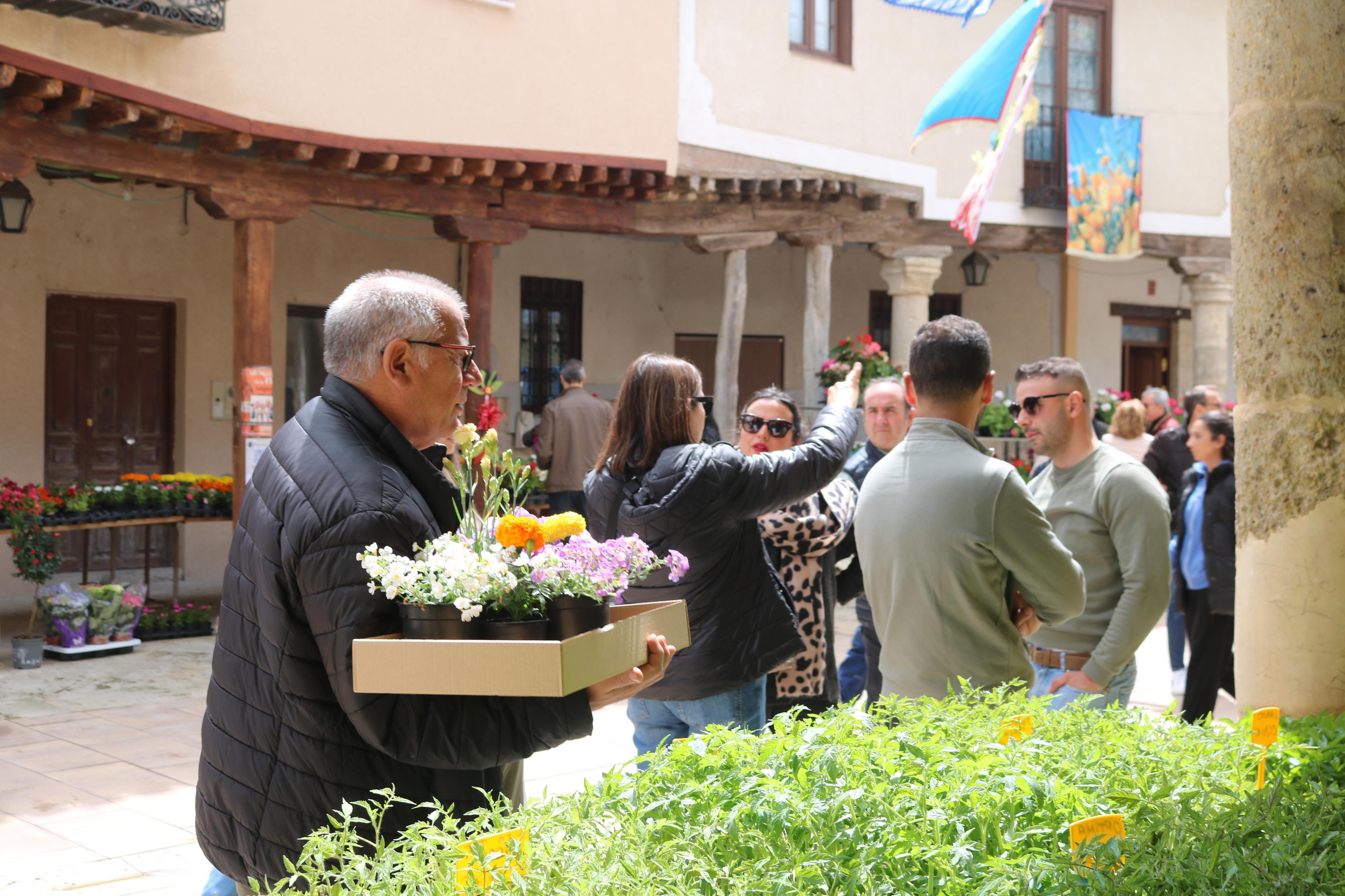 XIV Mercado de la Flor en Ampudia