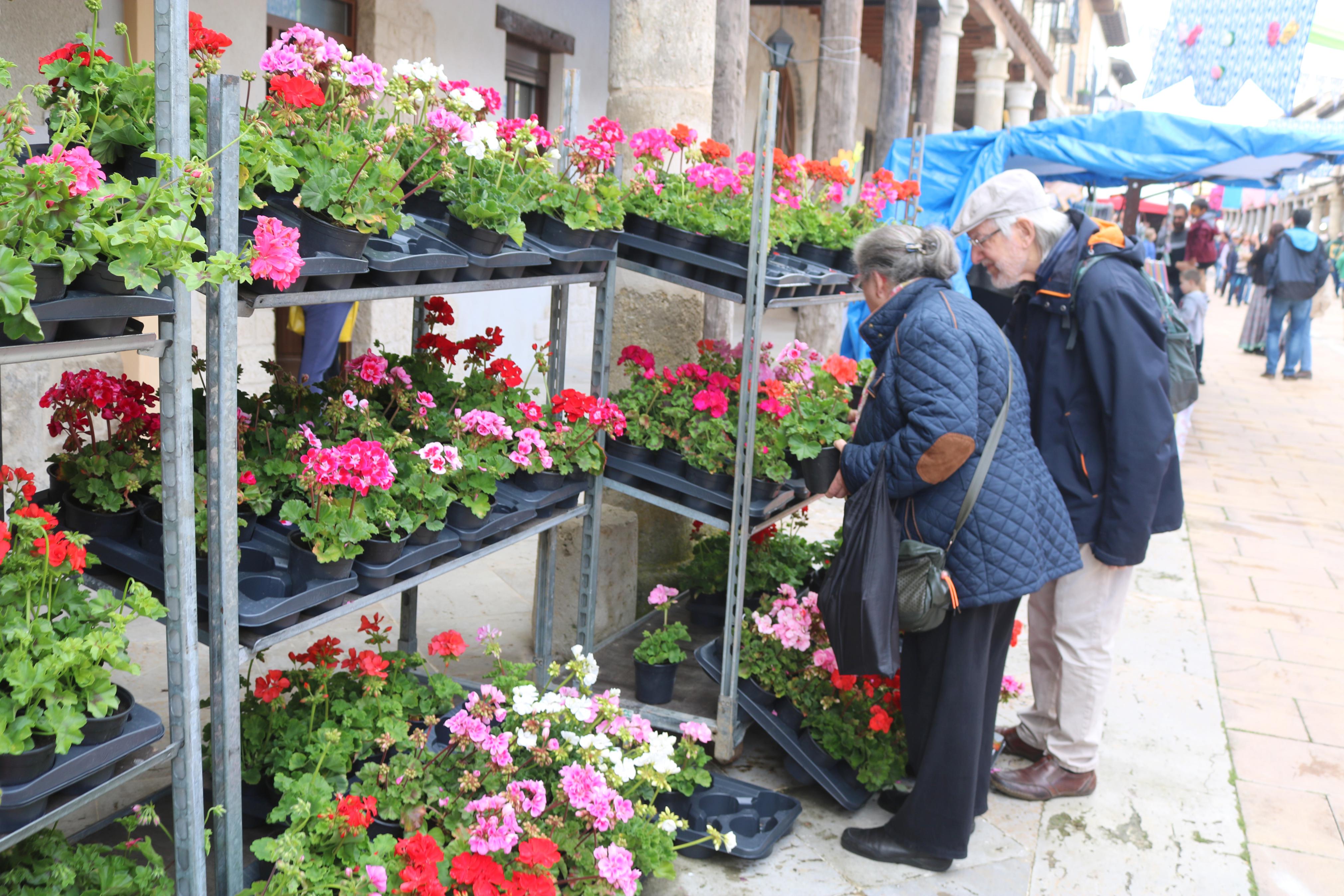 XIV Mercado de la Flor en Ampudia