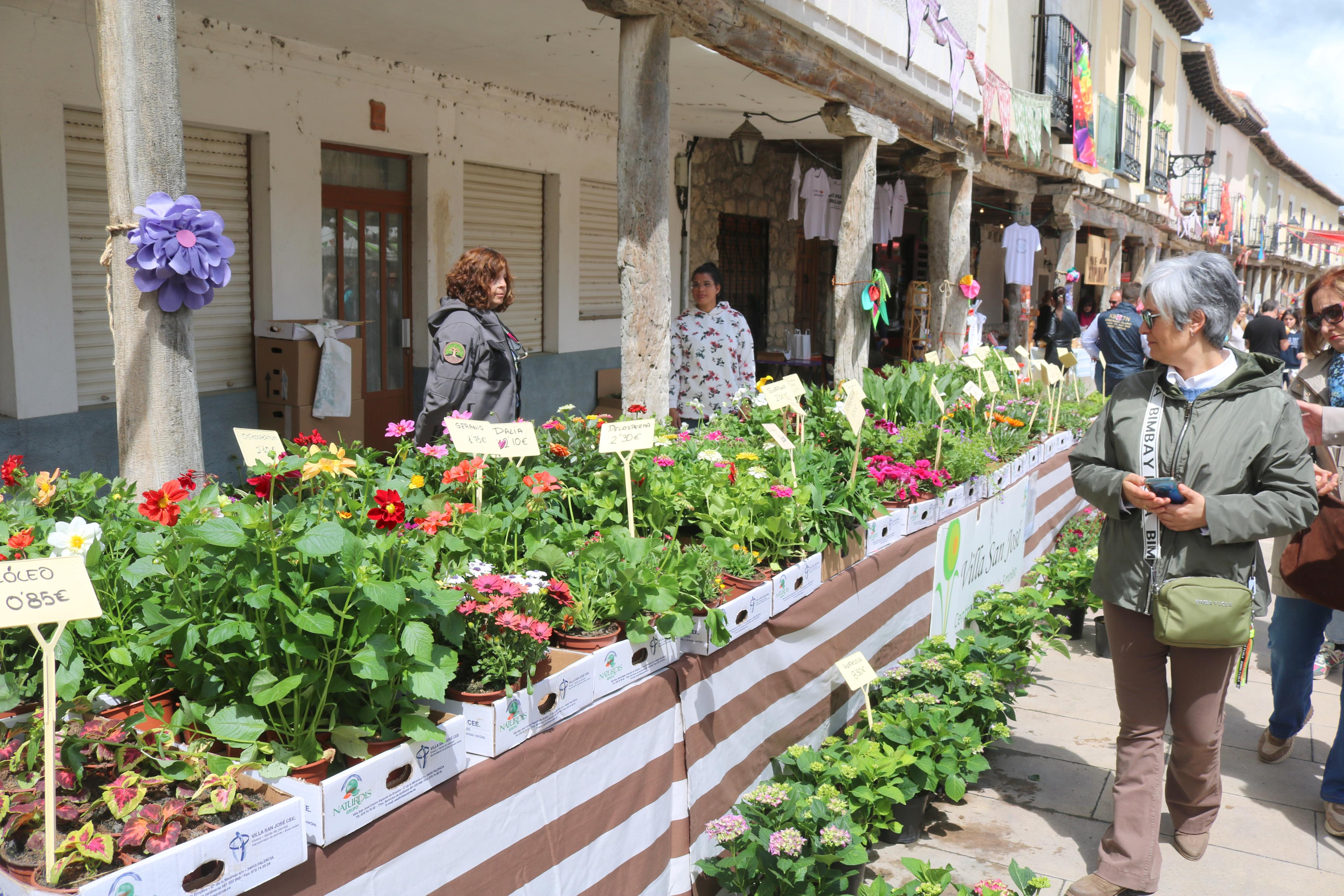 XIV Mercado de la Flor en Ampudia