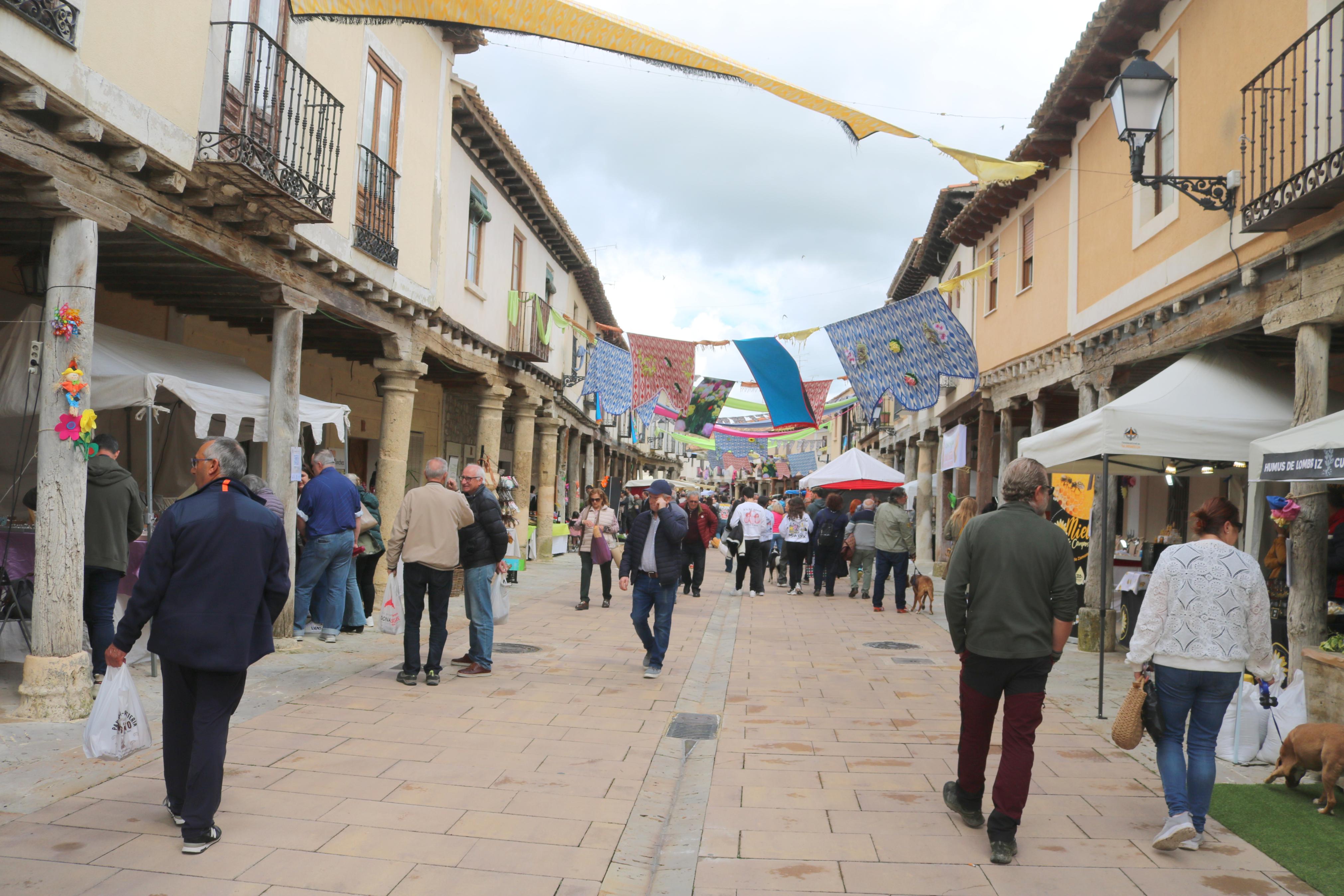 XIV Mercado de la Flor en Ampudia