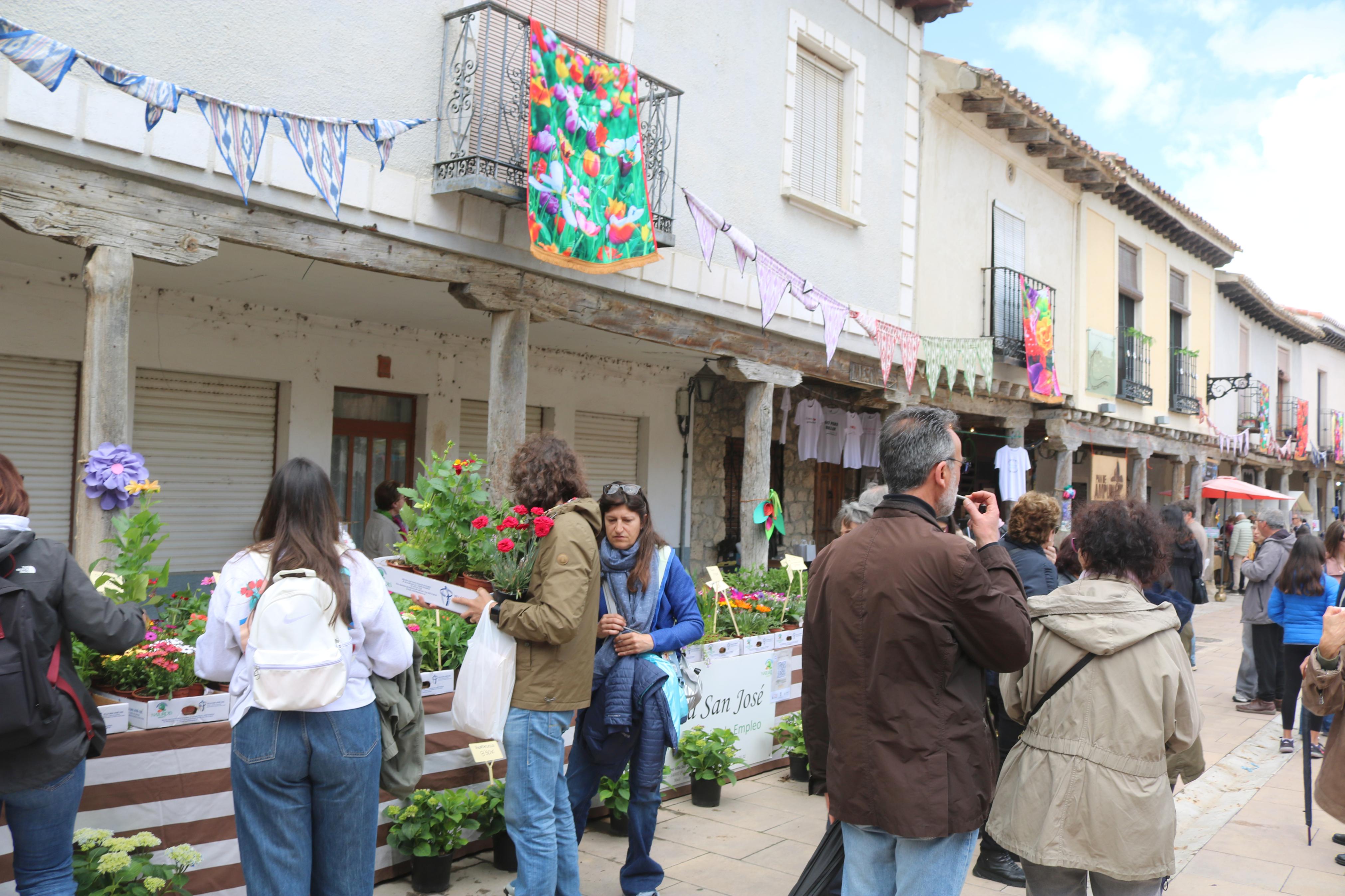 XIV Mercado de la Flor en Ampudia