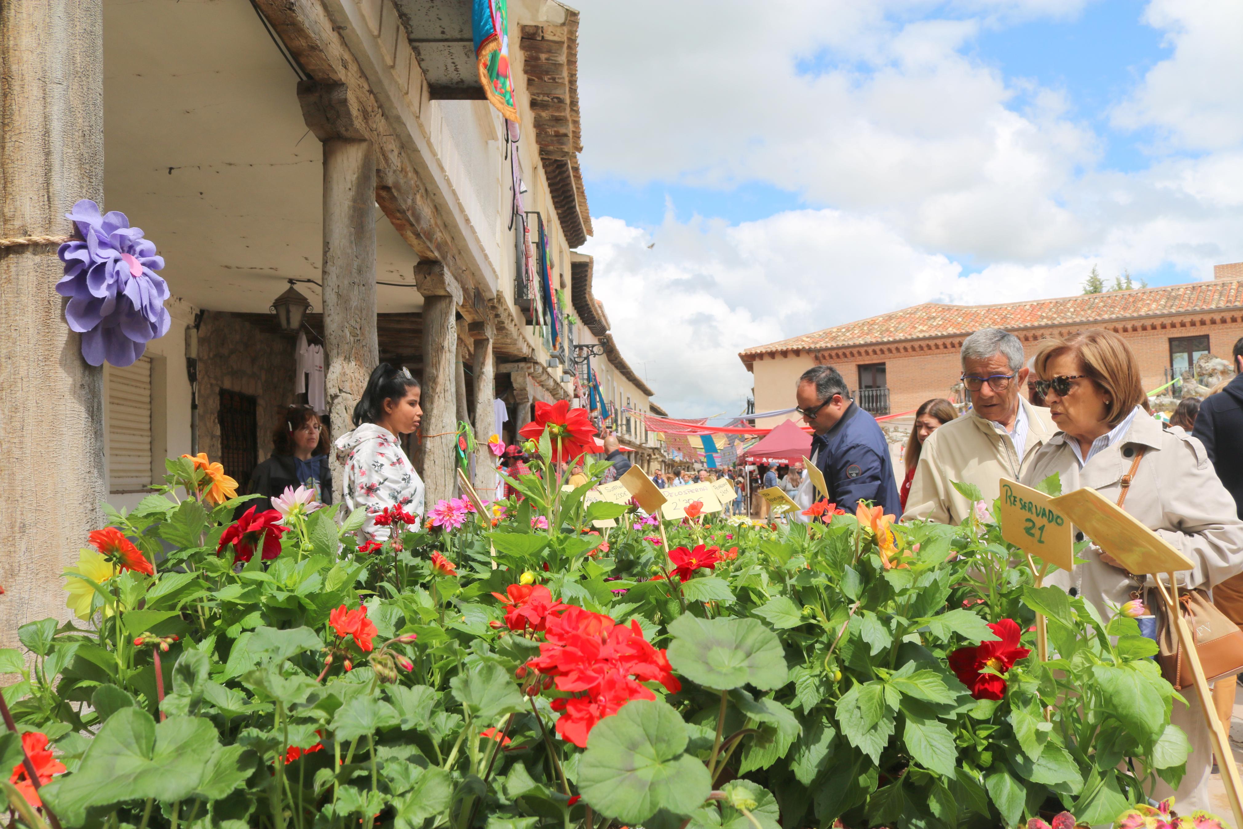 XIV Mercado de la Flor en Ampudia