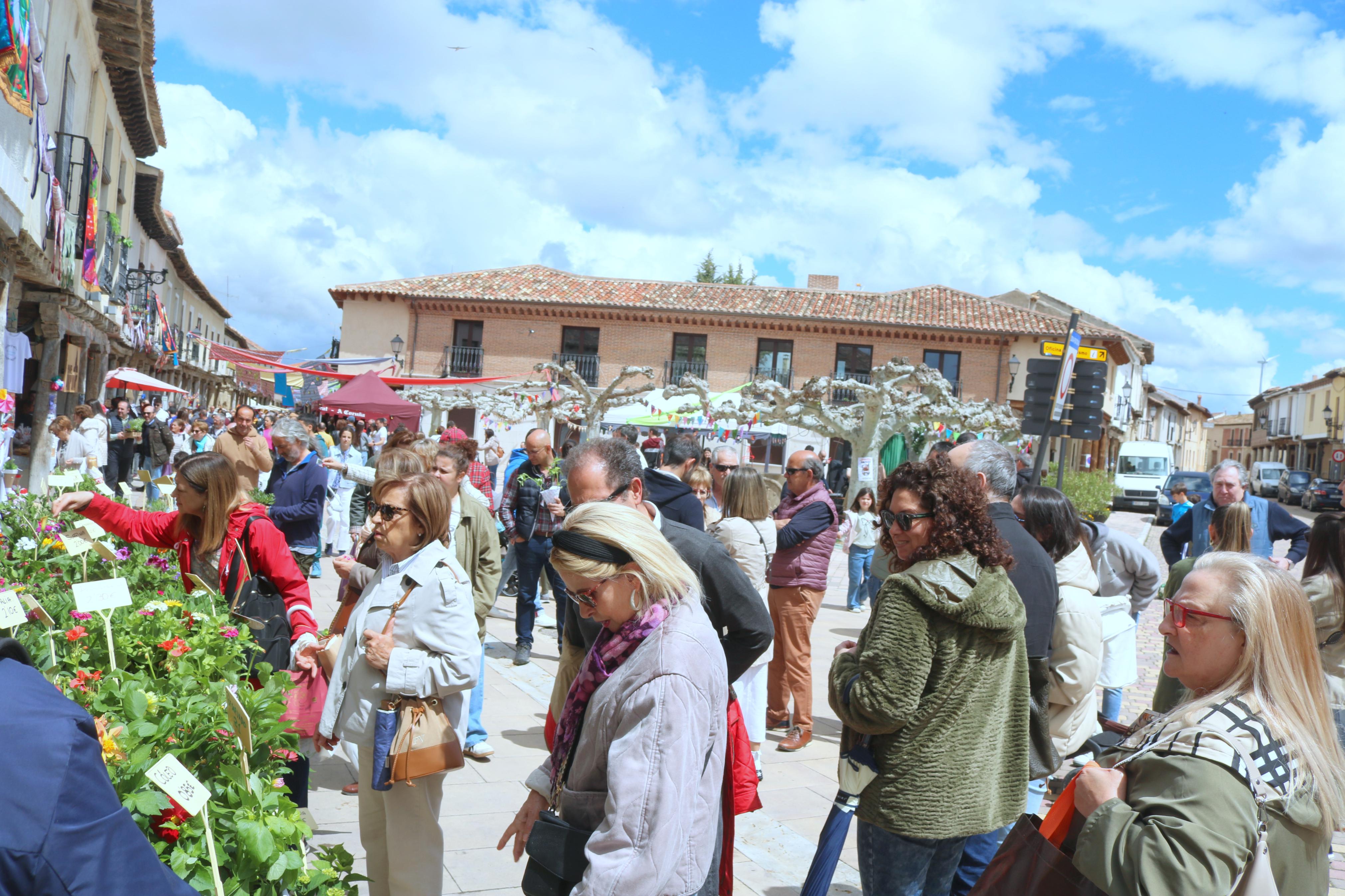 XIV Mercado de la Flor en Ampudia