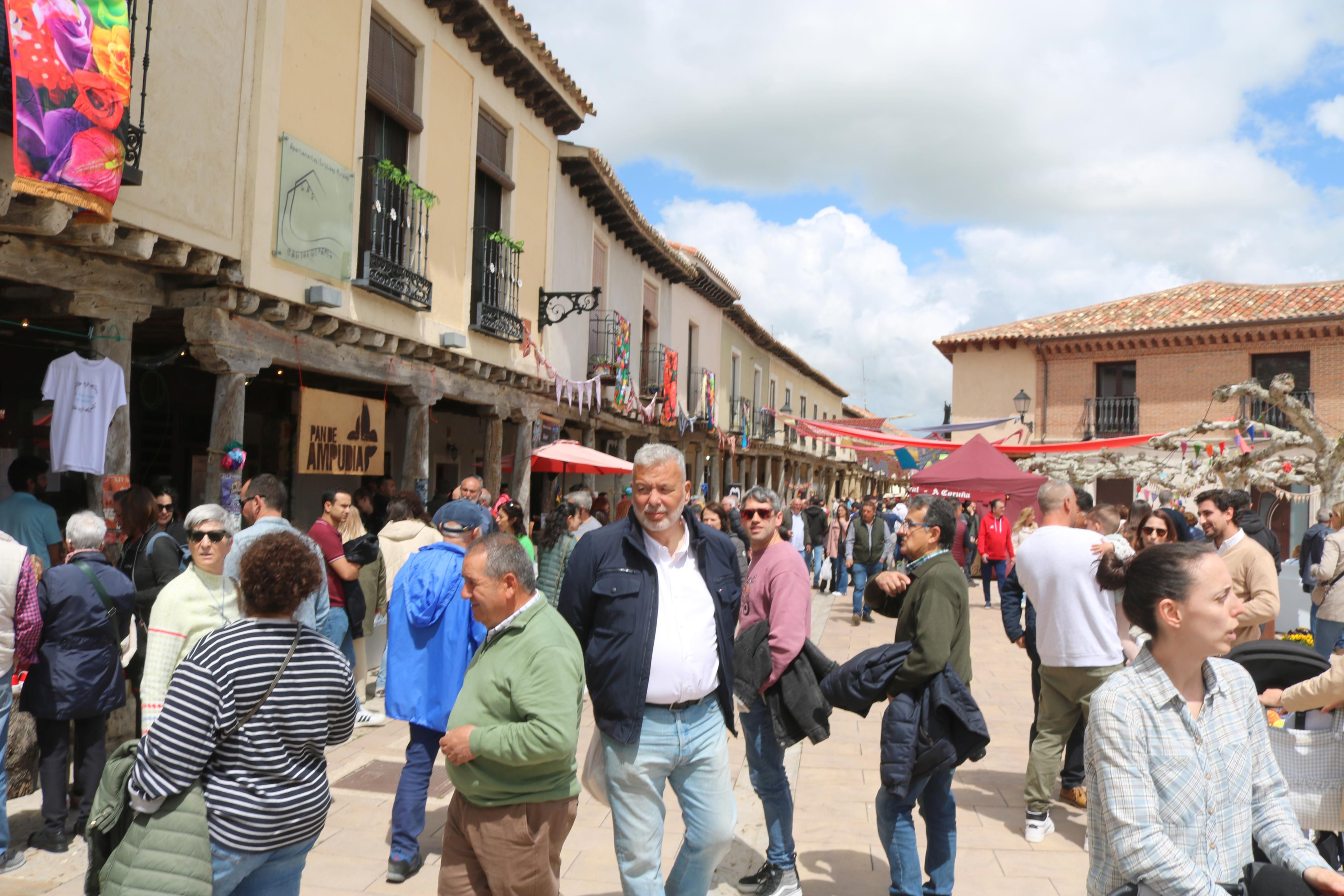 XIV Mercado de la Flor en Ampudia