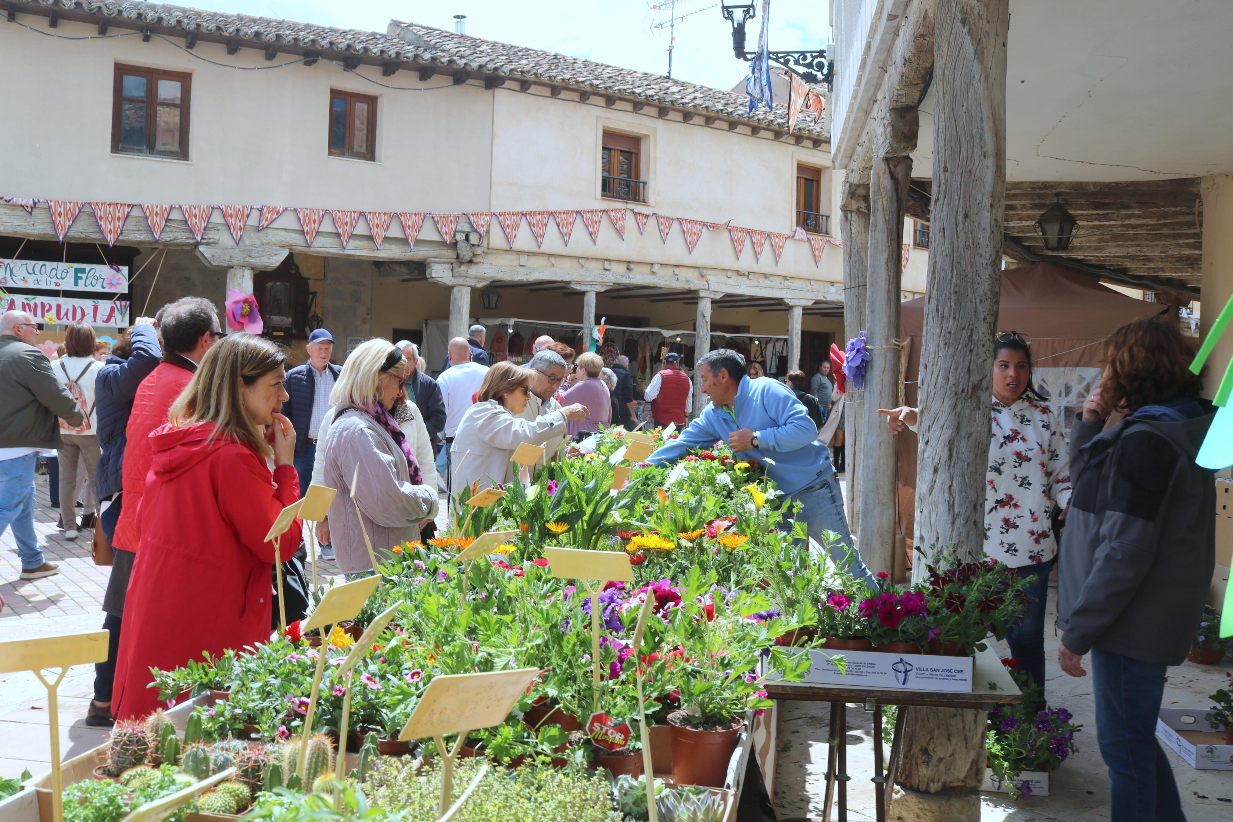 XIV Mercado de la Flor en Ampudia