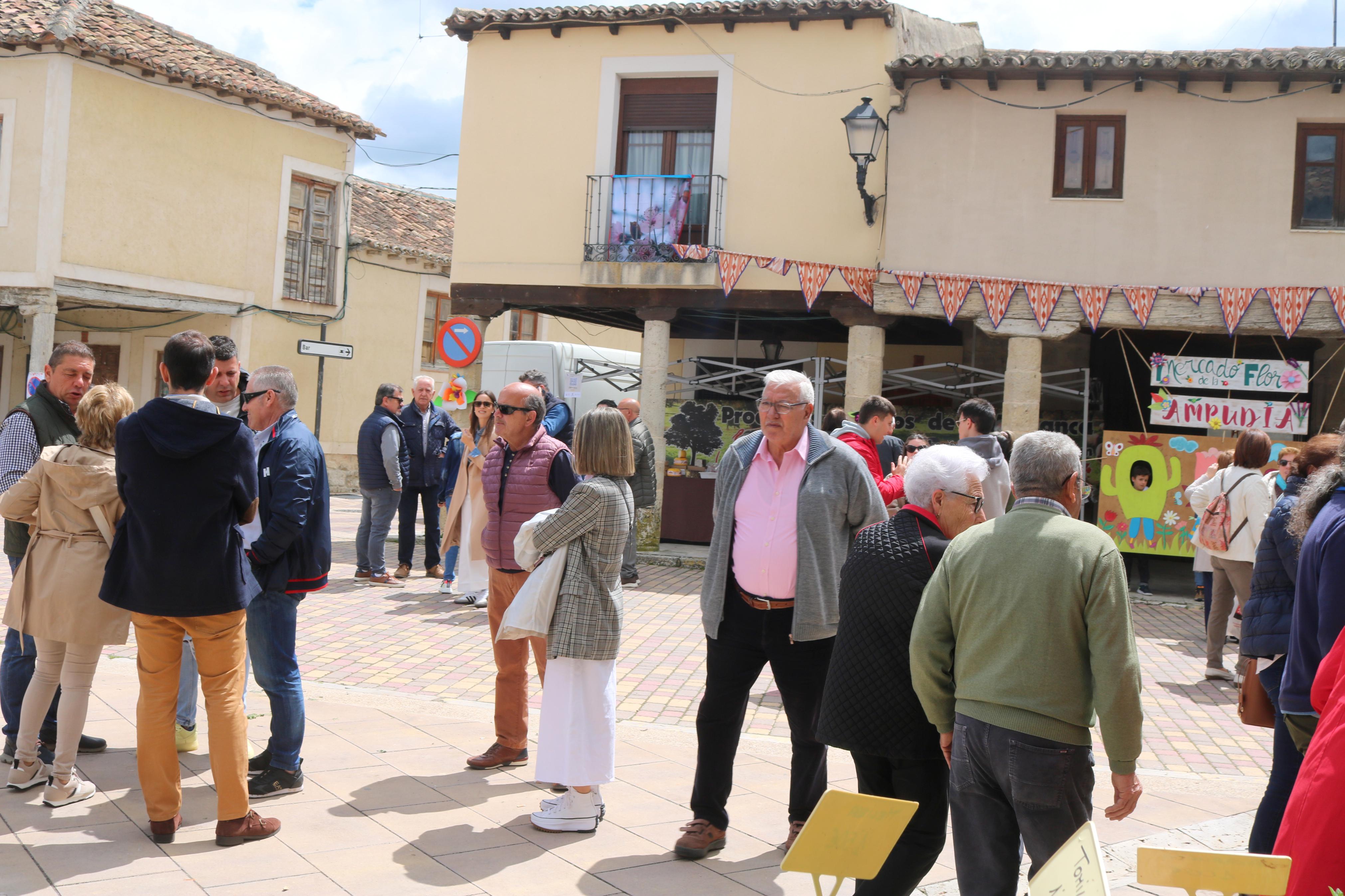 XIV Mercado de la Flor en Ampudia