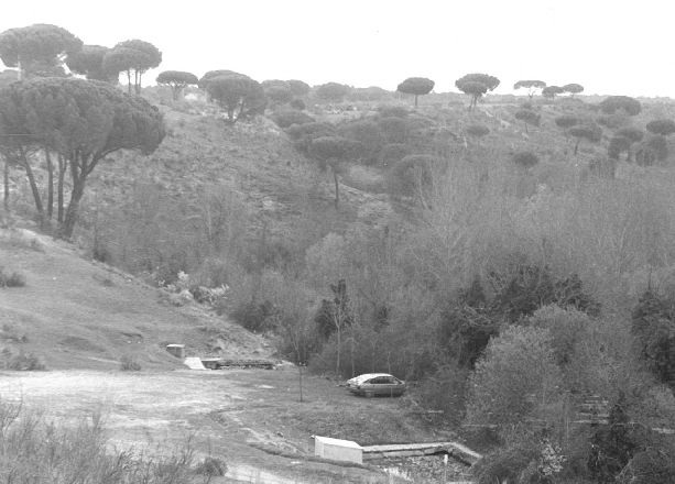 Pie original: «Fuente de la ermita de Sacedón, al fondo. Es el lugar donde dicen que se apareció la Virgen de Sacedón a un pastor. Cuando se celebra una procesión, al paso por esta zona se denomina Cruzar el arroyo».