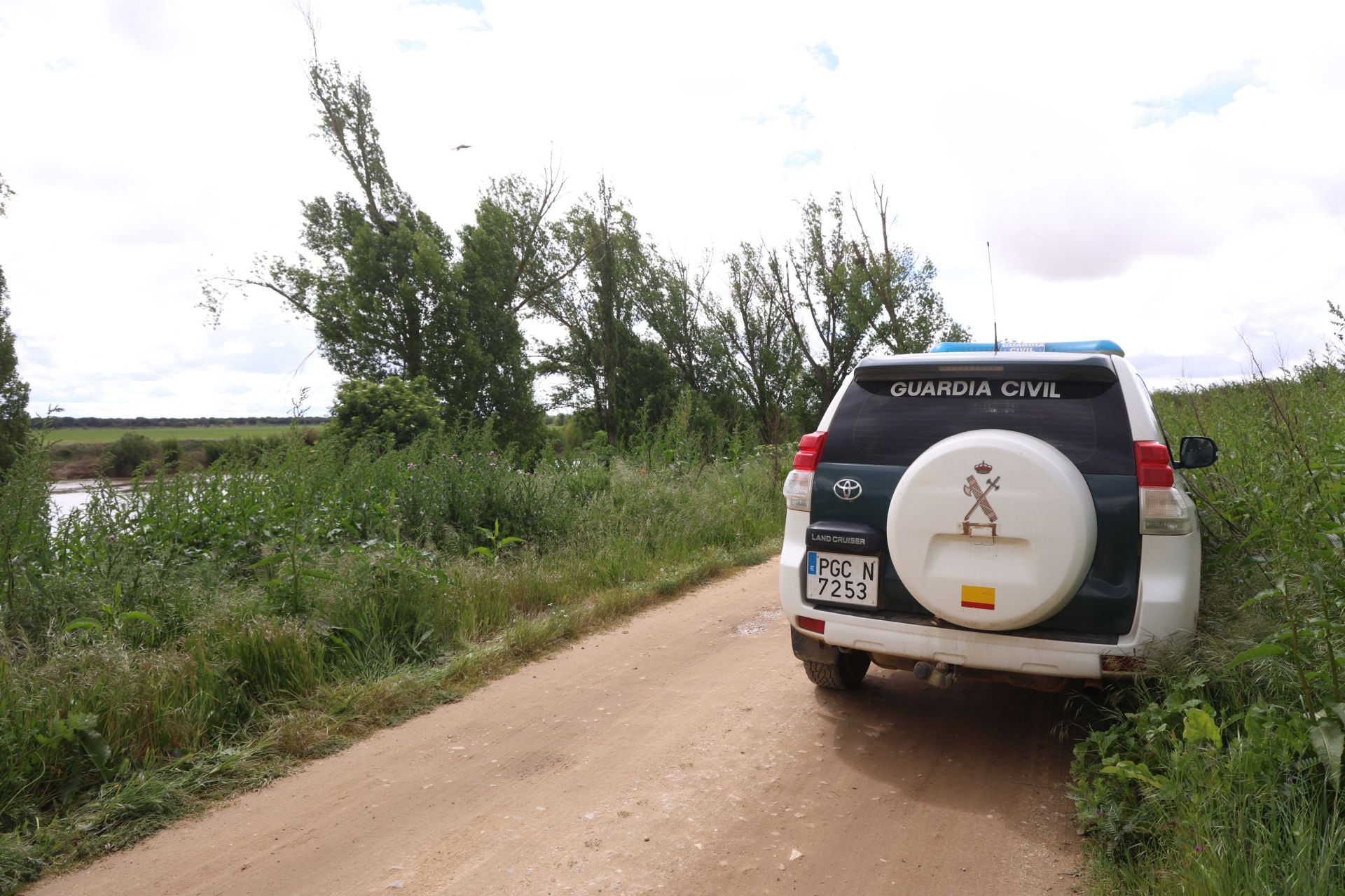 Dispositivo de búsqueda de la res.