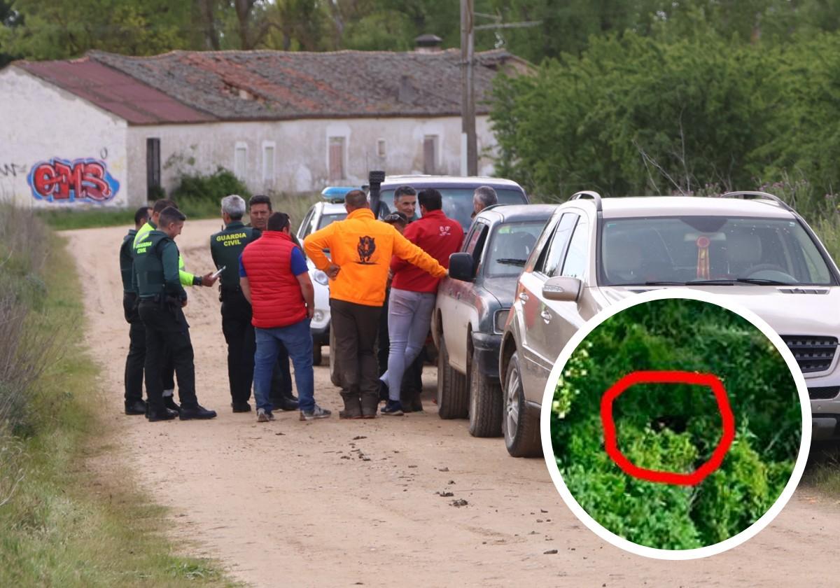 Así fue el recorrido de la vaca fugada: 20 kilómetros con idas y vueltas
