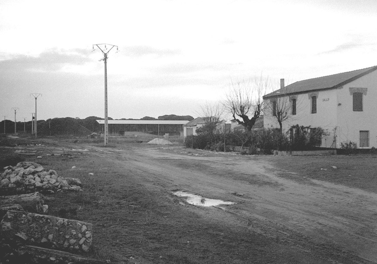 Pie original: «Terrenos en Pedrajas de San Esteban por donde pasará el TVA». Enero de 1998.
