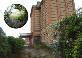 Parte posterior del silo de la avenida de Gijón y detalle del boquete abierto en la valla recién cerrada por los propietarios.