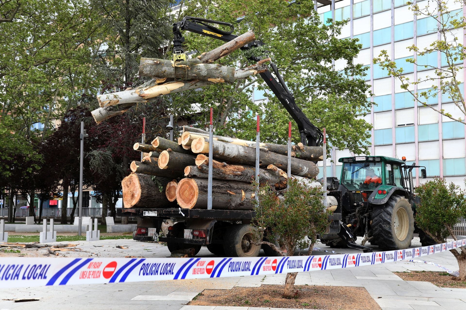 Tala de árboles en mal estado en el parque de Jardinillos de Palencia