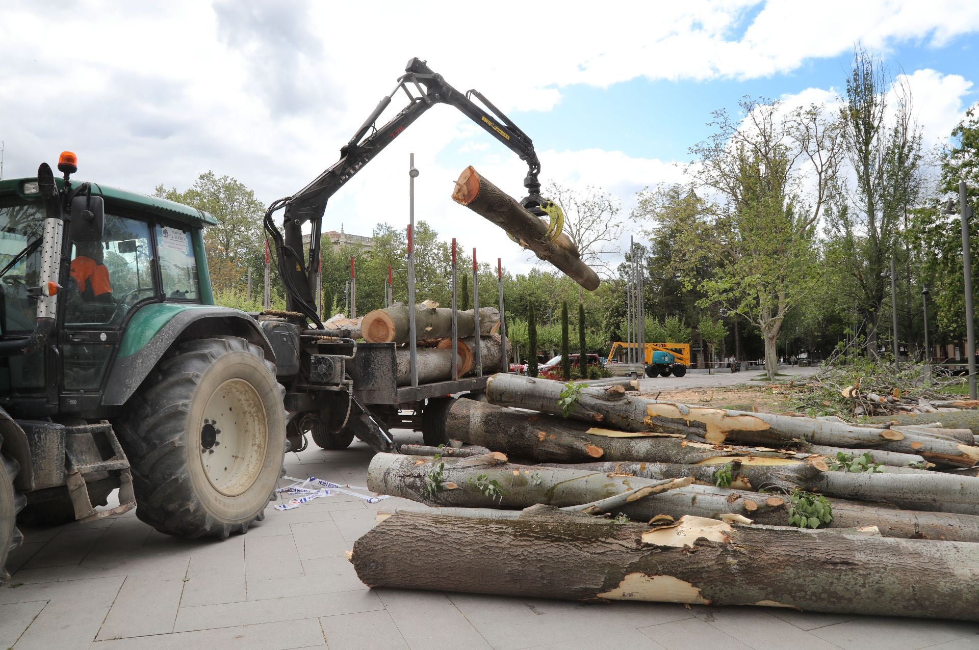 Tala de árboles en mal estado en el parque de Jardinillos de Palencia