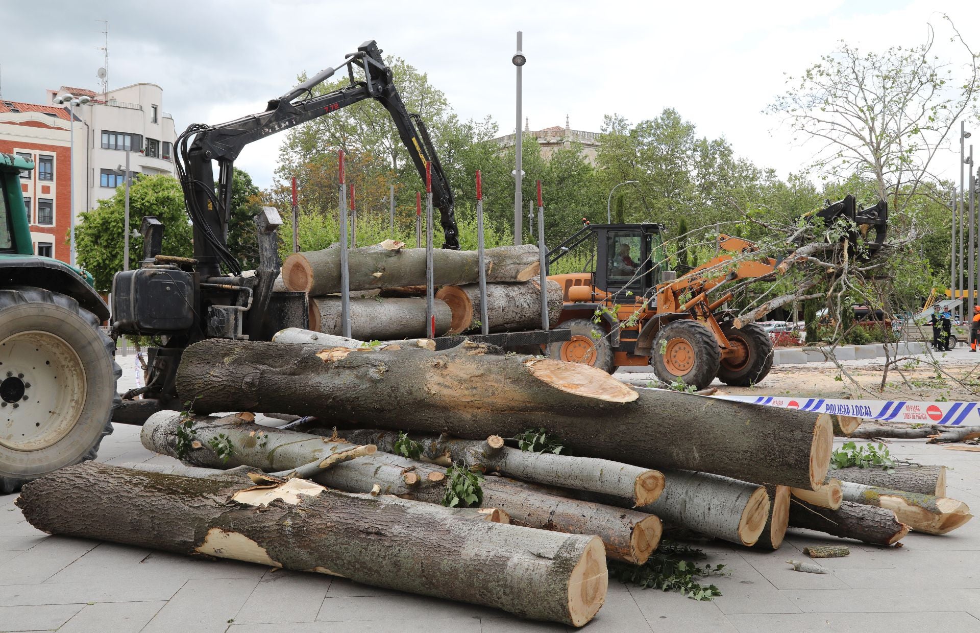 Tala de árboles en mal estado en el parque de Jardinillos de Palencia