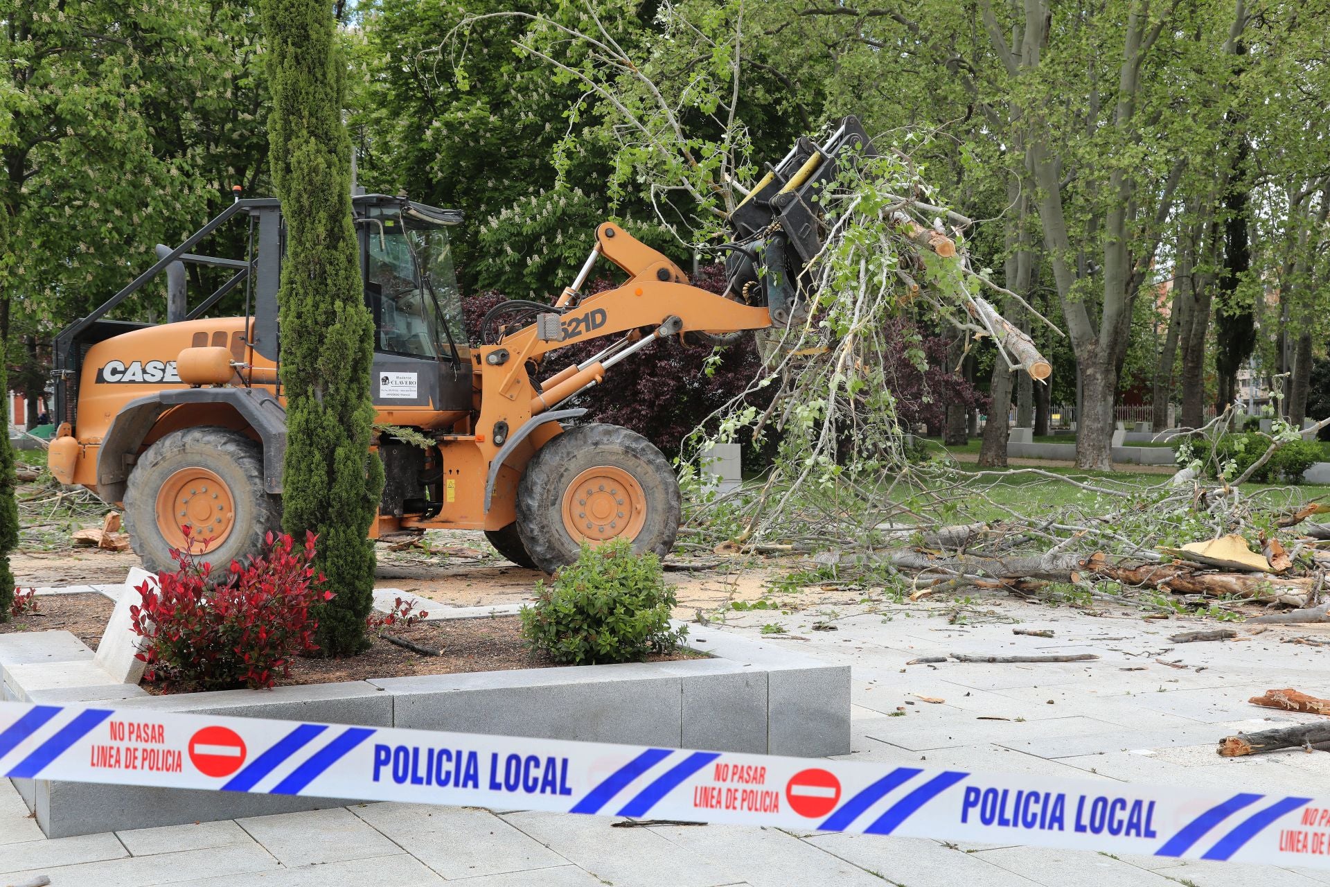 Tala de árboles en mal estado en el parque de Jardinillos de Palencia