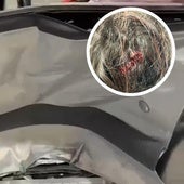 Estado en el que quedó la puerta de la conductora. En detalle, la brecha que sufrió en el accidente.